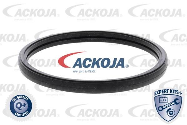 Купити Ackoja A52-99-0026 за низькою ціною в Польщі!
