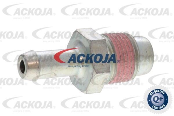 Buy Ackoja A70-0802 at a low price in Poland!