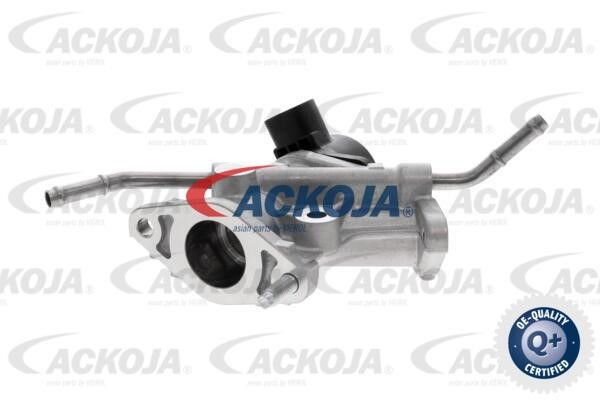 Ackoja A70-63-0027 EGR Valve A70630027: Buy near me in Poland at 2407.PL - Good price!