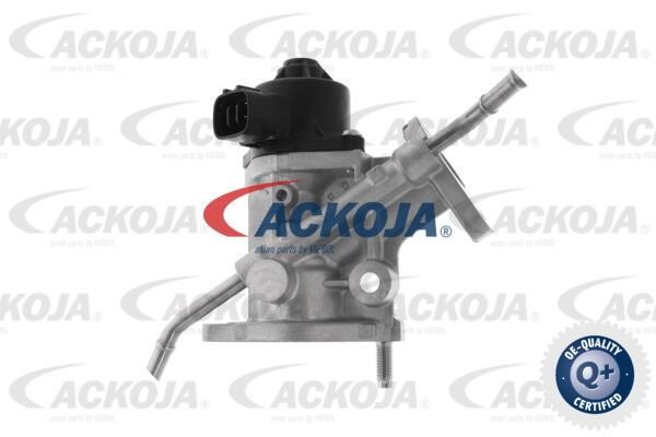 Buy Ackoja A70-63-0027 at a low price in Poland!