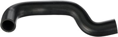 Rapro R38212 Radiator hose R38212: Buy near me in Poland at 2407.PL - Good price!