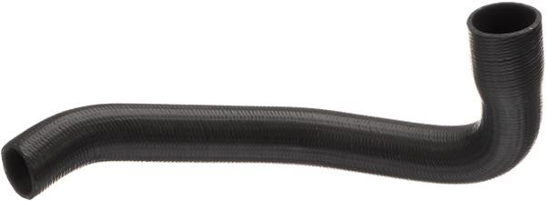 Rapro R43111 Radiator hose R43111: Buy near me at 2407.PL in Poland at an Affordable price!