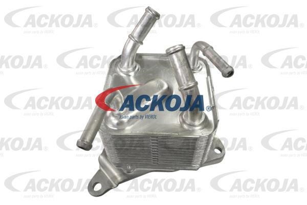 Ackoja A37-60-0002 Oil Cooler, engine oil A37600002: Buy near me in Poland at 2407.PL - Good price!