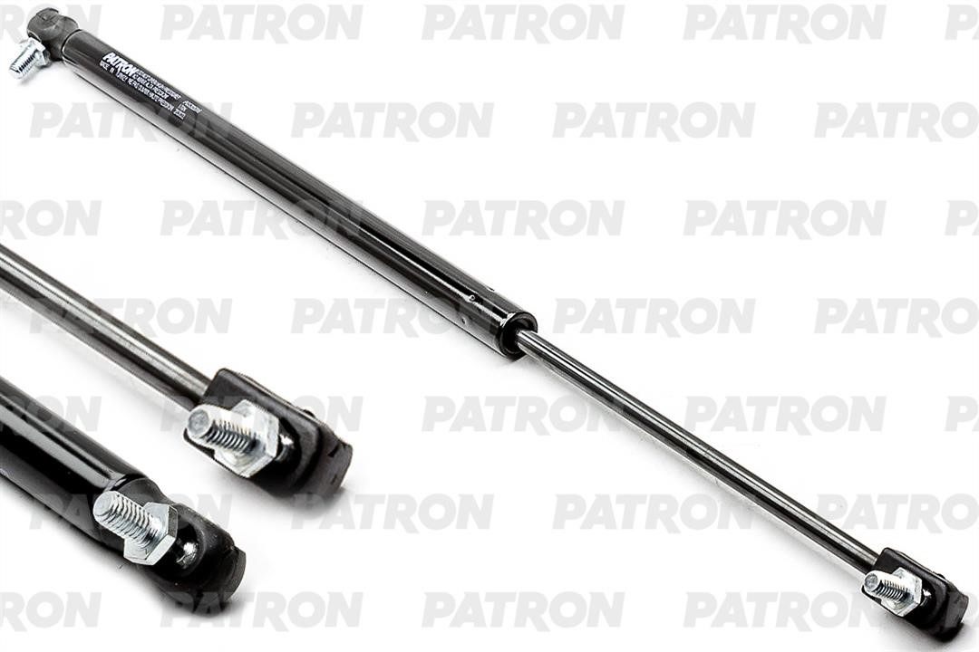 Patron PGS205316 Spring gas rear window PGS205316: Buy near me in Poland at 2407.PL - Good price!