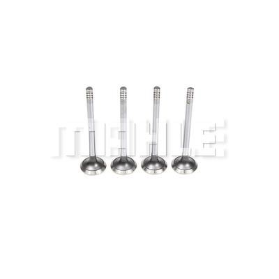 Mahle/Knecht VE0440301 Exhaust valve VE0440301: Buy near me in Poland at 2407.PL - Good price!