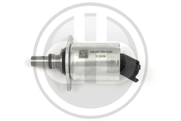 Buchli X39-800-300-018Z Injection pump valve X39800300018Z: Buy near me in Poland at 2407.PL - Good price!