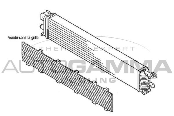 Autogamma 107565 Radiator, engine cooling 107565: Buy near me in Poland at 2407.PL - Good price!