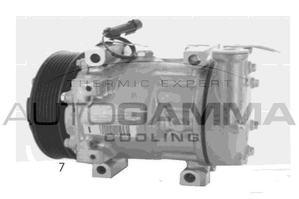 Autogamma 118567 Kompresor klimatyzacji 118567: Atrakcyjna cena w Polsce na 2407.PL - Zamów teraz!