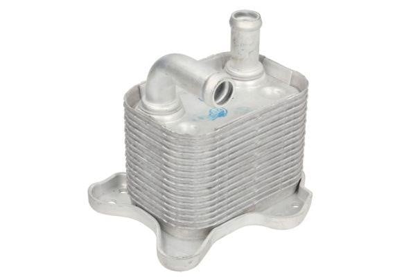 Thermotec D4X020TT Oil Cooler, automatic transmission D4X020TT: Buy near me in Poland at 2407.PL - Good price!
