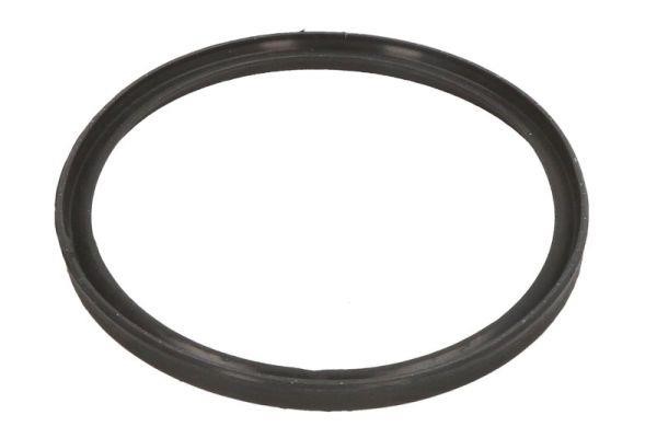 Thermotec DCB086TT Seal Ring, charger DCB086TT: Buy near me in Poland at 2407.PL - Good price!
