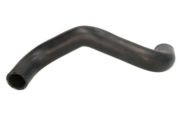 Thermotec DW206TT Radiator hose DW206TT: Buy near me in Poland at 2407.PL - Good price!