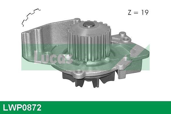 Lucas diesel LWP0872 Помпа водяная LWP0872: Купить в Польше - Отличная цена на 2407.PL!