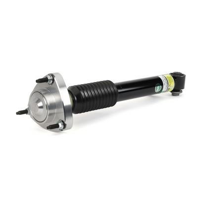 Arnott SK-3607 Rear suspension shock SK3607: Buy near me at 2407.PL in Poland at an Affordable price!