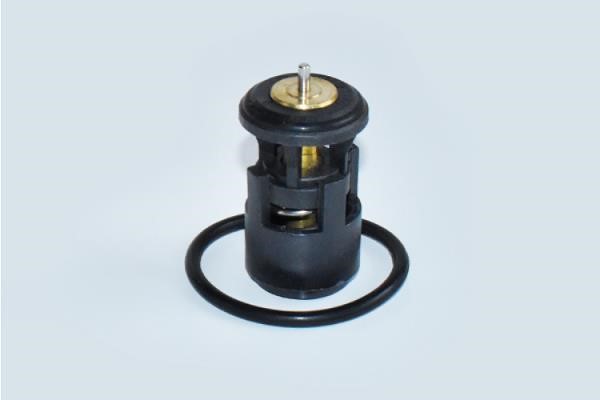 ASAM 73343 Thermostat, coolant 73343: Buy near me in Poland at 2407.PL - Good price!