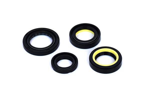 ASAM 77048 Shaft Seal, steering gear 77048: Buy near me in Poland at 2407.PL - Good price!