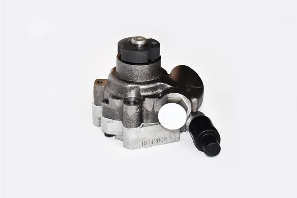 ASAM 99395 Hydraulic Pump, steering system 99395: Buy near me in Poland at 2407.PL - Good price!