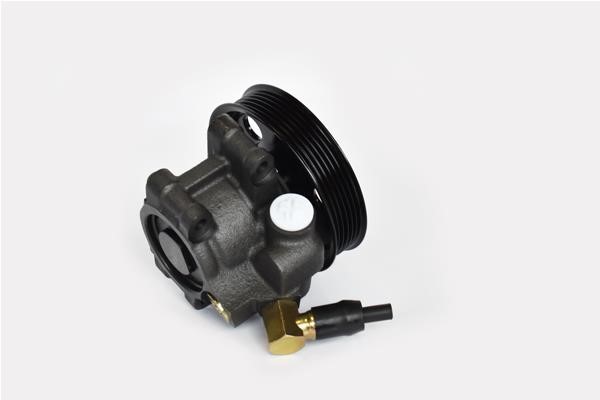 ASAM 99401 Hydraulic Pump, steering system 99401: Buy near me in Poland at 2407.PL - Good price!