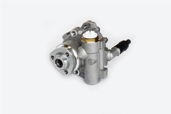 ASAM 99403 Hydraulic Pump, steering system 99403: Buy near me in Poland at 2407.PL - Good price!