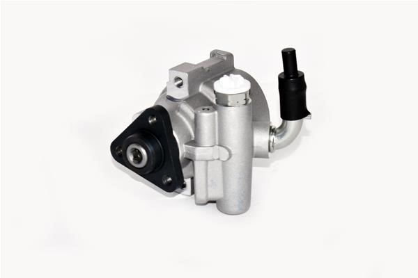 ASAM 99404 Hydraulic Pump, steering system 99404: Buy near me at 2407.PL in Poland at an Affordable price!