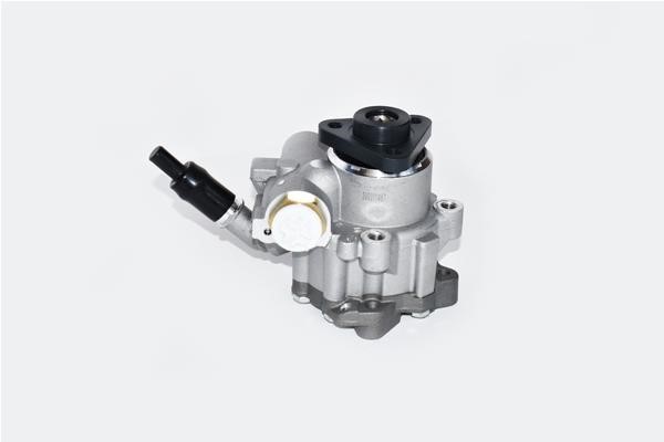 ASAM 99411 Hydraulic Pump, steering system 99411: Buy near me in Poland at 2407.PL - Good price!