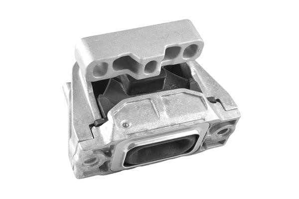 TedGum TED43999 Engine mount TED43999: Buy near me in Poland at 2407.PL - Good price!
