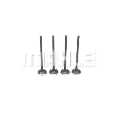 Mahle/Metal Leve VE0510210 Exhaust valve VE0510210: Buy near me in Poland at 2407.PL - Good price!