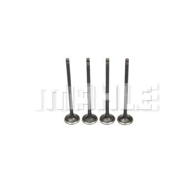 Mahle/Metal Leve VE0510258 Exhaust valve VE0510258: Buy near me in Poland at 2407.PL - Good price!