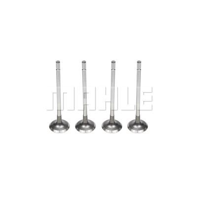 Mahle/Metal Leve VE0180416 Exhaust valve VE0180416: Buy near me in Poland at 2407.PL - Good price!