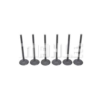 Mahle/Knecht VA1950261 Intake valve VA1950261: Buy near me at 2407.PL in Poland at an Affordable price!