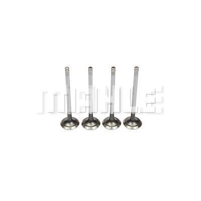 Mahle/Metal Leve VE0440297 Exhaust valve VE0440297: Buy near me in Poland at 2407.PL - Good price!