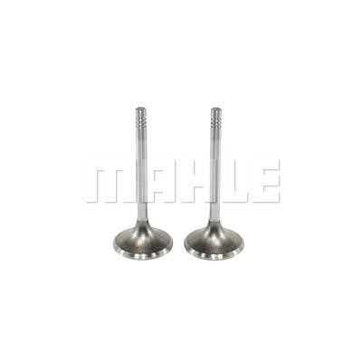 Mahle/Metal Leve VE0130278 Exhaust valve VE0130278: Buy near me in Poland at 2407.PL - Good price!