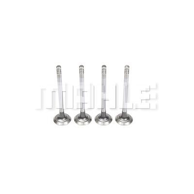 Mahle/Knecht VE0590173 Exhaust valve VE0590173: Buy near me in Poland at 2407.PL - Good price!