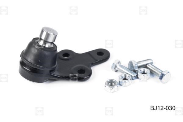 Hola BJ12-030 Ball joint BJ12030: Buy near me in Poland at 2407.PL - Good price!