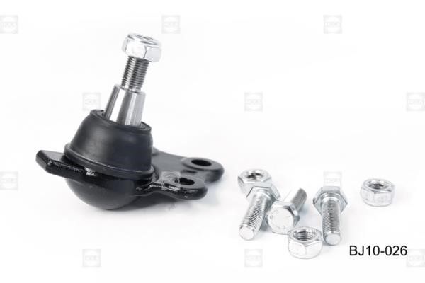 Hola BJ10-026 Ball joint BJ10026: Buy near me at 2407.PL in Poland at an Affordable price!