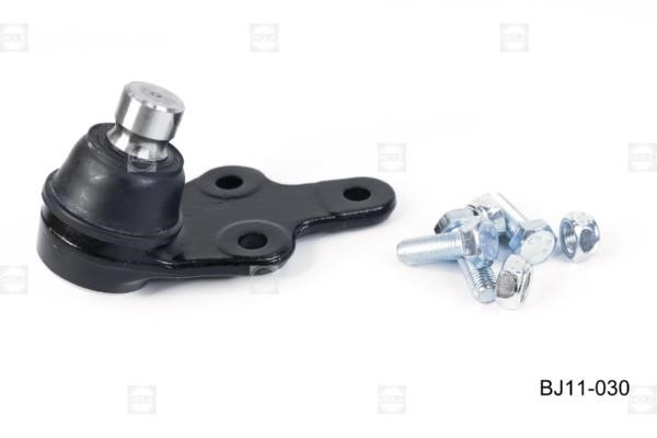 Hola BJ11-030 Ball joint BJ11030: Buy near me at 2407.PL in Poland at an Affordable price!