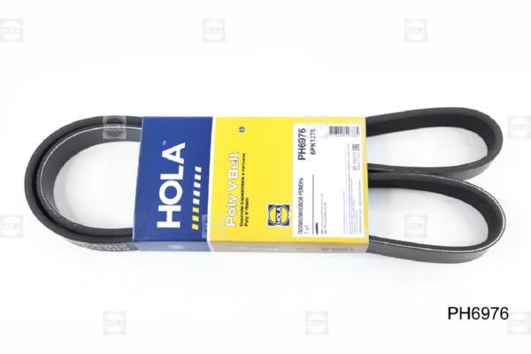 Kup Hola PH6976 w niskiej cenie w Polsce!