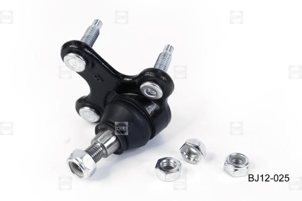 Hola BJ12-025 Ball joint BJ12025: Buy near me in Poland at 2407.PL - Good price!