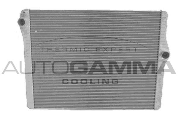 Autogamma 107700 Radiator, engine cooling 107700: Buy near me in Poland at 2407.PL - Good price!