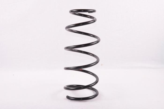 Tashiko NI-51617 Suspension spring front NI51617: Buy near me in Poland at 2407.PL - Good price!