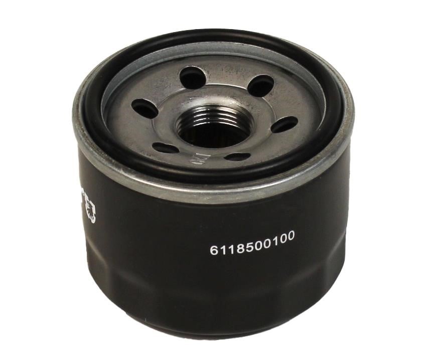 Jp Group 6118500100 Oil Filter 6118500100: Buy near me at 2407.PL in Poland at an Affordable price!