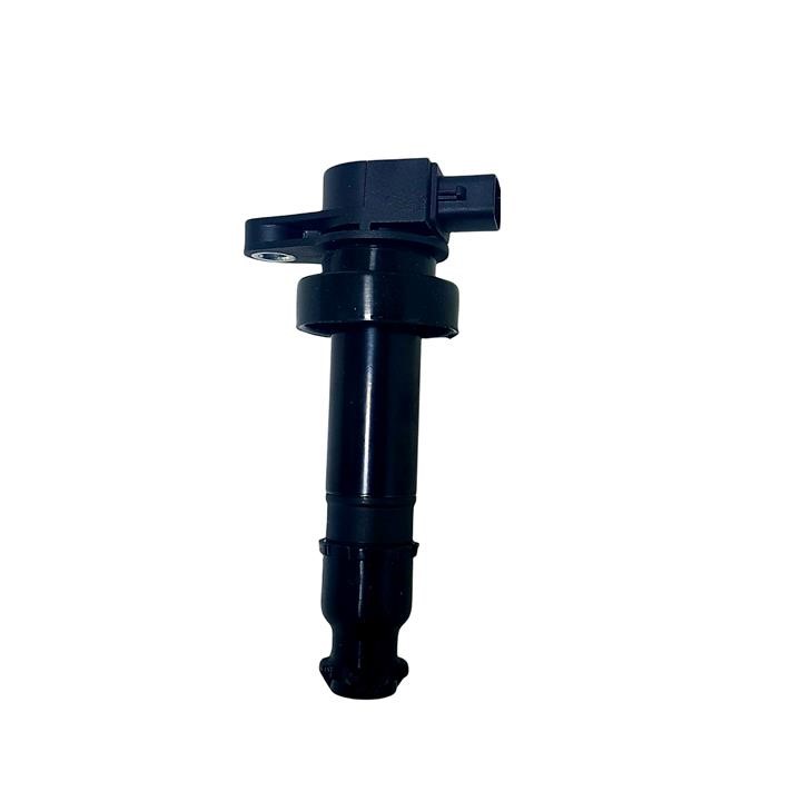 GoodWay IC-HY-2B000 Ignition coil ICHY2B000: Buy near me in Poland at 2407.PL - Good price!