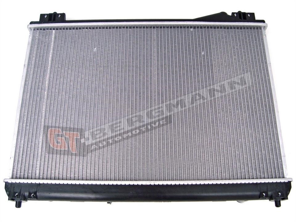 Buy Gt Bergmann GT10-020 at a low price in Poland!