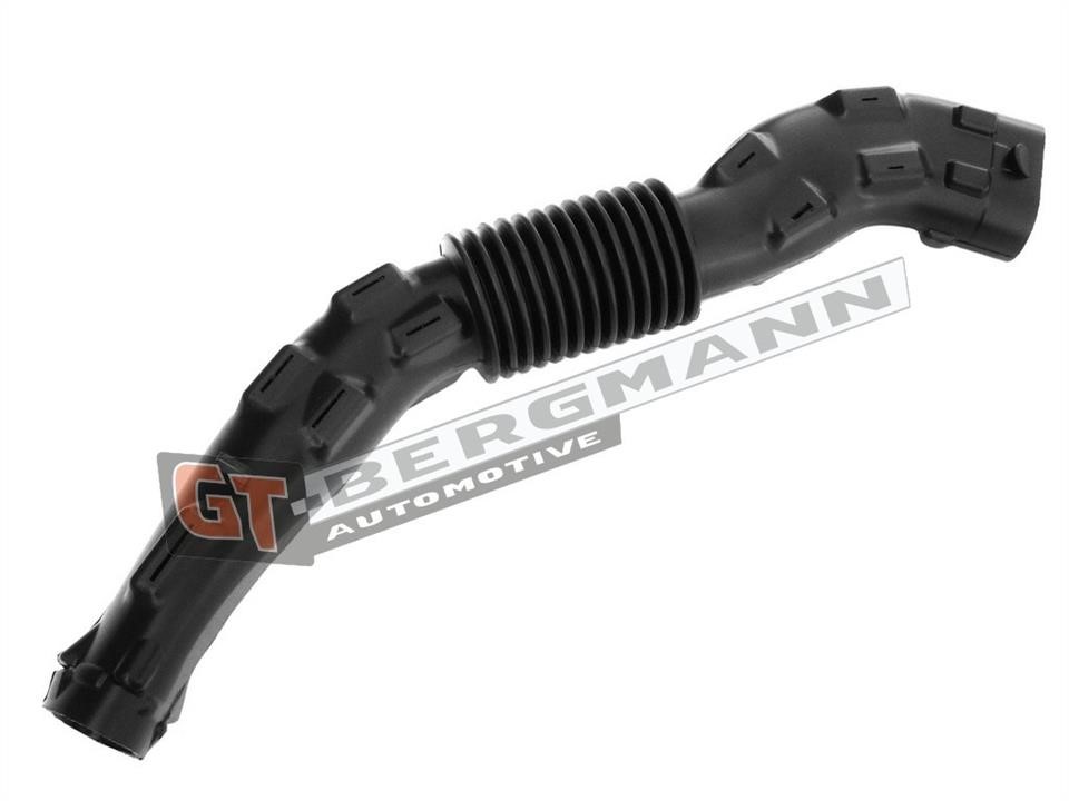 Купити Gt Bergmann GT52253 – суперціна на 2407.PL!