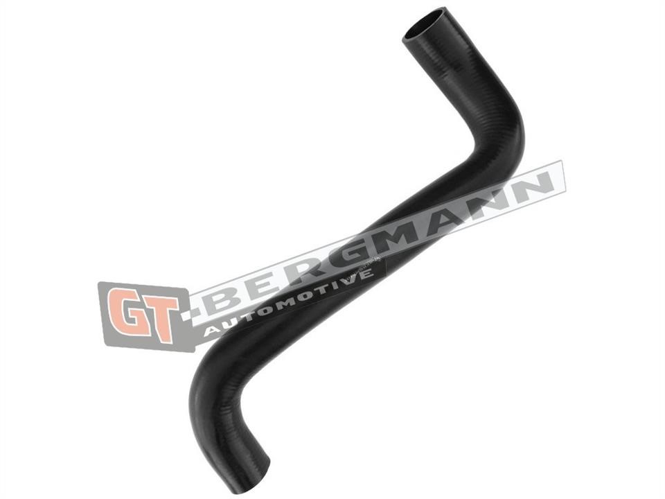Gt Bergmann GT52-308 Intake hose GT52308: Buy near me at 2407.PL in Poland at an Affordable price!