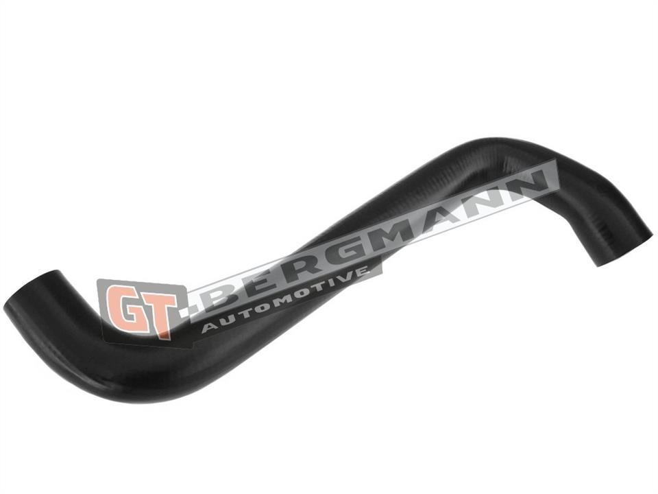 Buy Gt Bergmann GT52-308 at a low price in Poland!