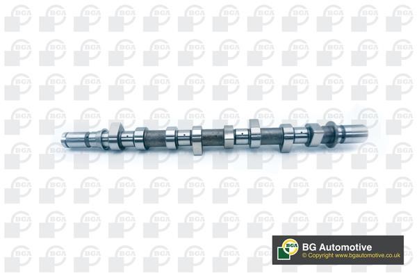 Wilmink Group WG1490543 Camshaft WG1490543: Buy near me at 2407.PL in Poland at an Affordable price!