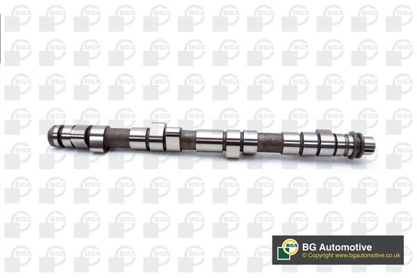 Wilmink Group WG1490573 Camshaft WG1490573: Buy near me in Poland at 2407.PL - Good price!