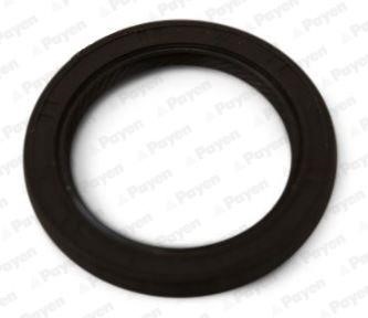Wilmink Group WG1497752 Camshaft oil seal WG1497752: Buy near me in Poland at 2407.PL - Good price!