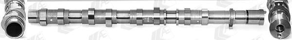 Wilmink Group WG1939153 Camshaft WG1939153: Buy near me in Poland at 2407.PL - Good price!