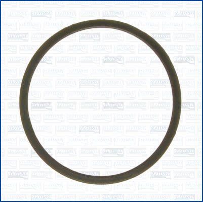 Wilmink Group WG1956197 Termostat gasket WG1956197: Buy near me in Poland at 2407.PL - Good price!
